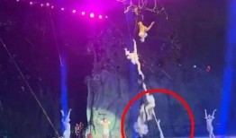 杂技演员新角色爆料视频,幕后爆料带你领略舞台魅力